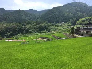 Ini Rice Terraces