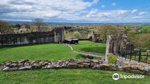 Pickering Castle