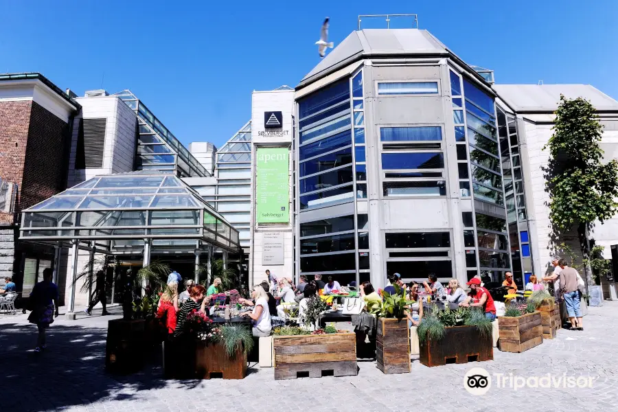 Solvberget bibliotek og kulturhus