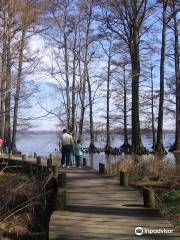 Reelfoot Lake State Park