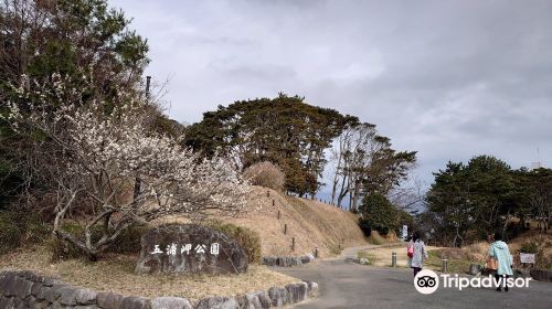 五浦海岸