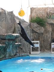 Mazatlan Aquarium