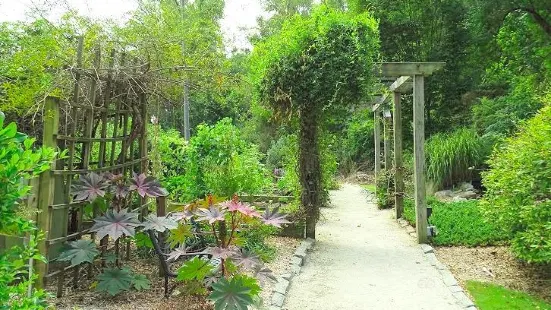 Wilson Botanical Gardens