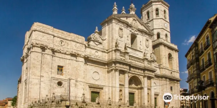 聖母昇天主教座堂