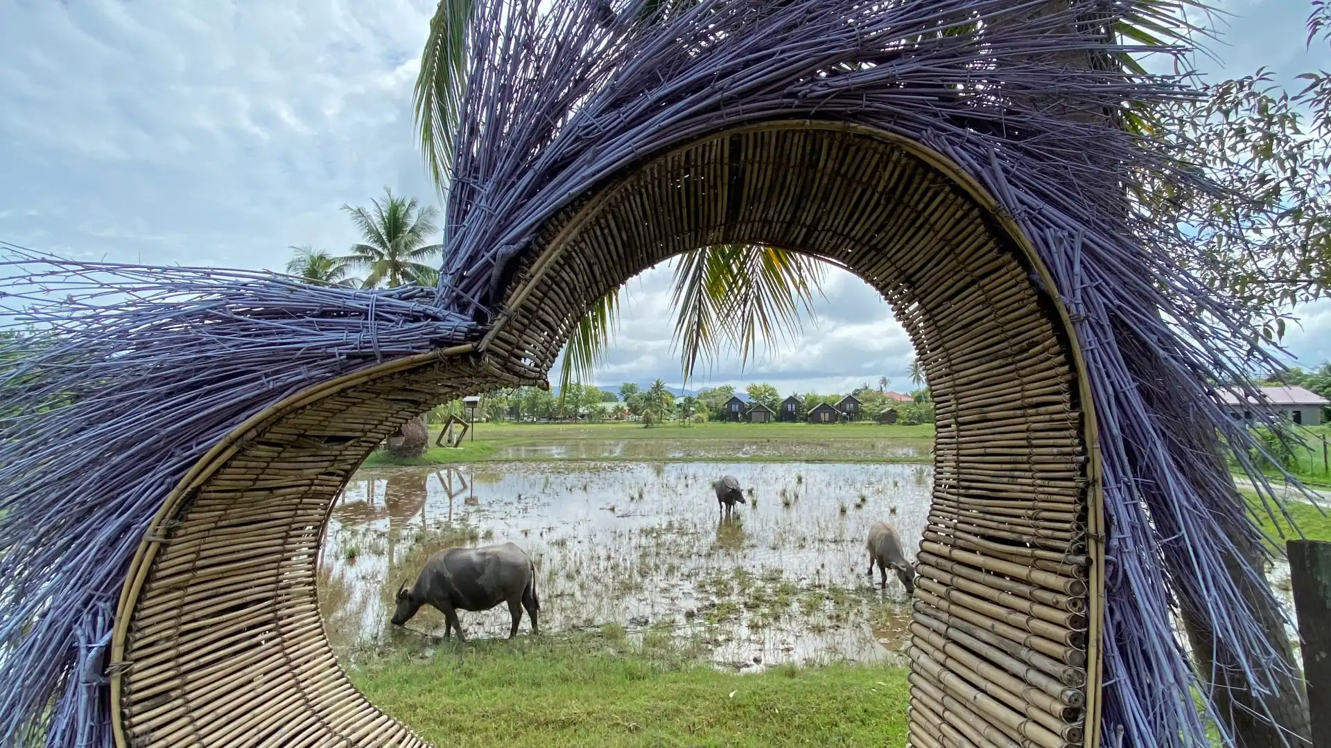 Hotels near Laman Padi Langkawi