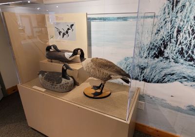 Havre de Grace Decoy Museum