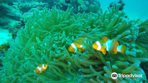 Boracay Eclipse Dive Center