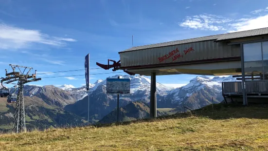 Bergbahnen Lenk