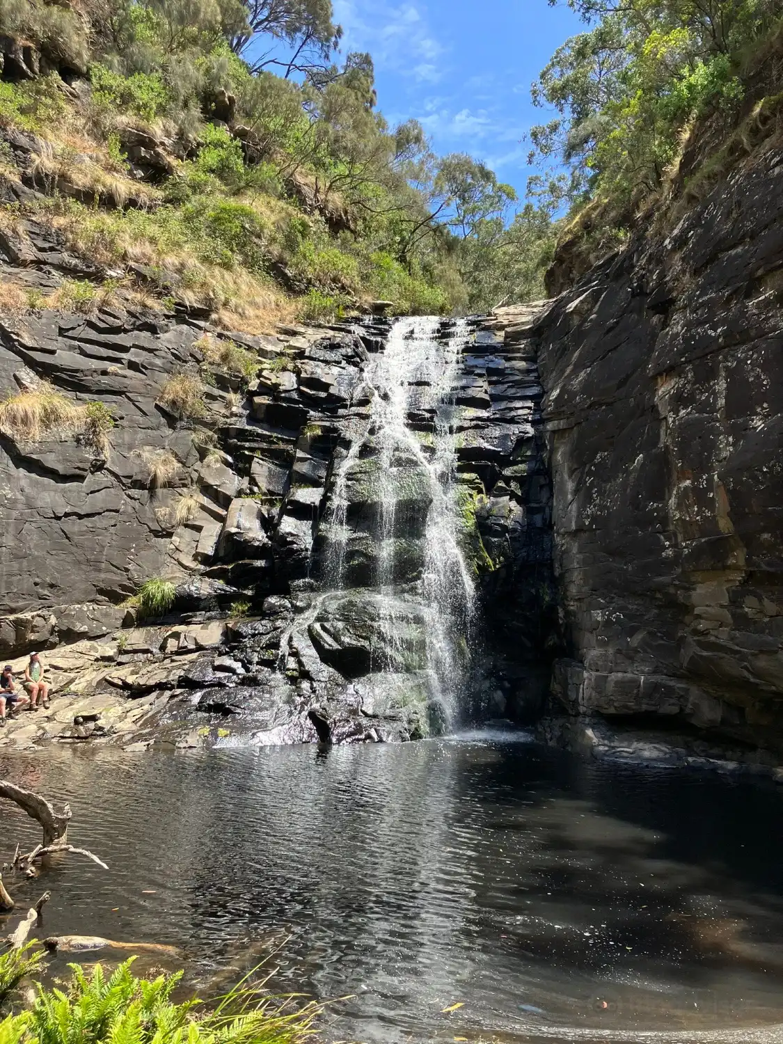 Hotels near Sheoak Falls