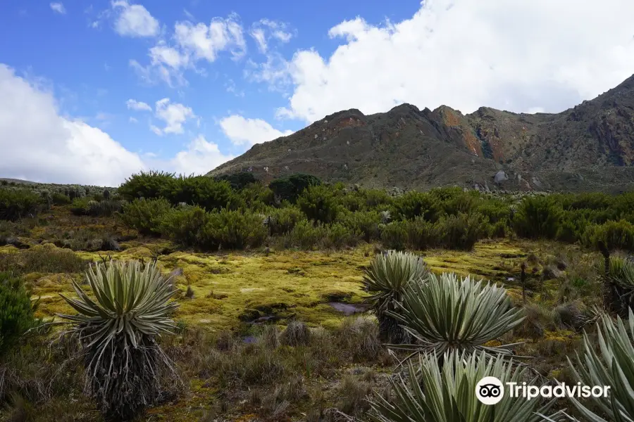 Paramo de Sumapaz