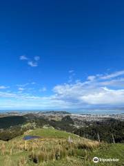 Te Kuri Farm Walkway