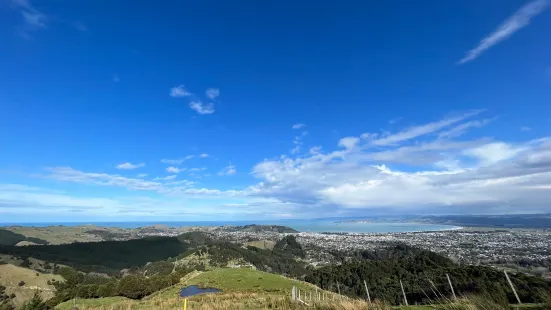 Te Kuri Farm Walkway