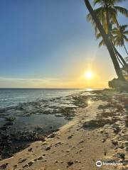 Isla Saona