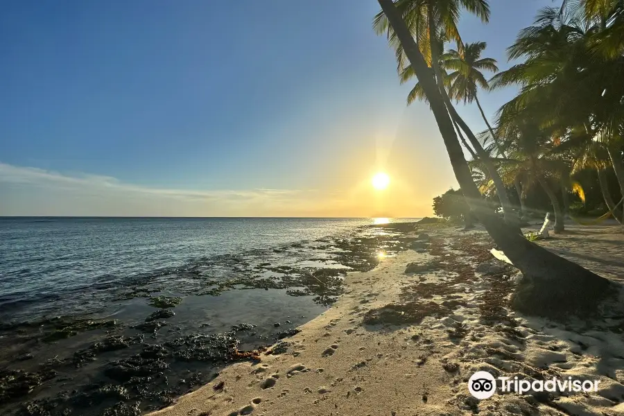 Isla Saona