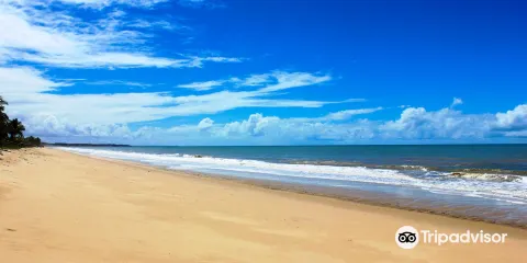 Praia Novo Prado