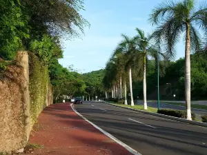 Ciclopista Ixtapa