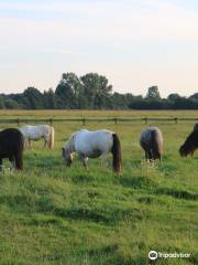 Pony-Park Padenstedt