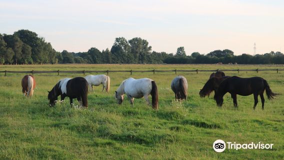 Pony-Park Padenstedt
