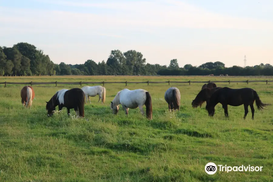 Pony-Park Padenstedt