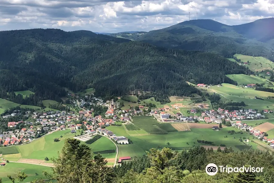 Aussichtsturm Urenkopf