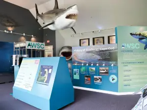 Chatham Shark Center