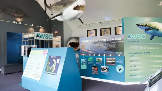 Chatham Shark Center