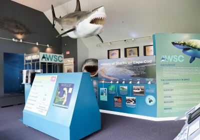 Chatham Shark Center