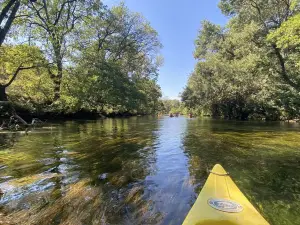 Canoe Evasion