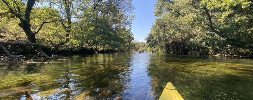 Canoe Evasion
