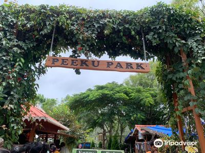 PEEKU PARK YERCAUD