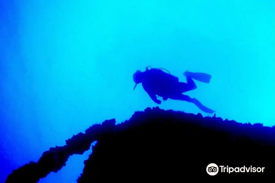 Blue Island DIvers