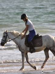 Centre Equestre des Dunes Erdeven