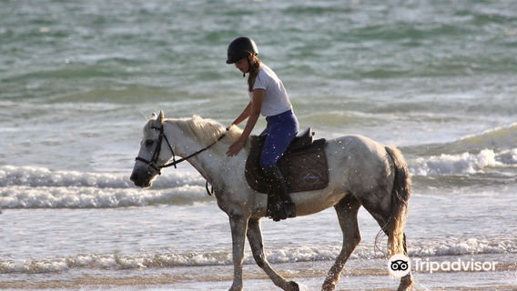 Center Equestre des Dunes Erdeven