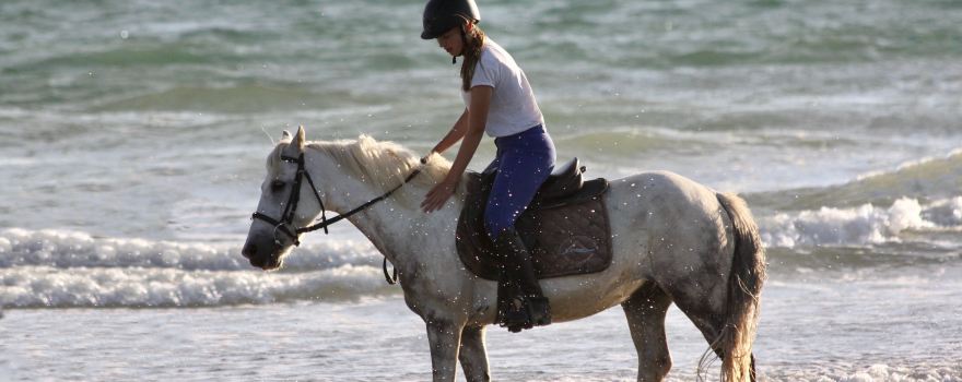 Centre Equestre des Dunes Erdeven