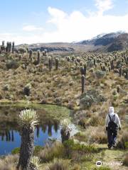 Andes Turismo y Aventura