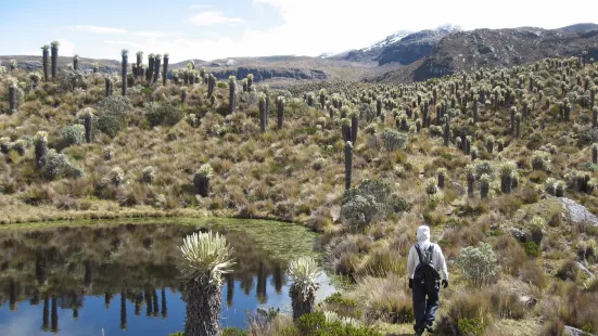 Andes Turismo y Aventura