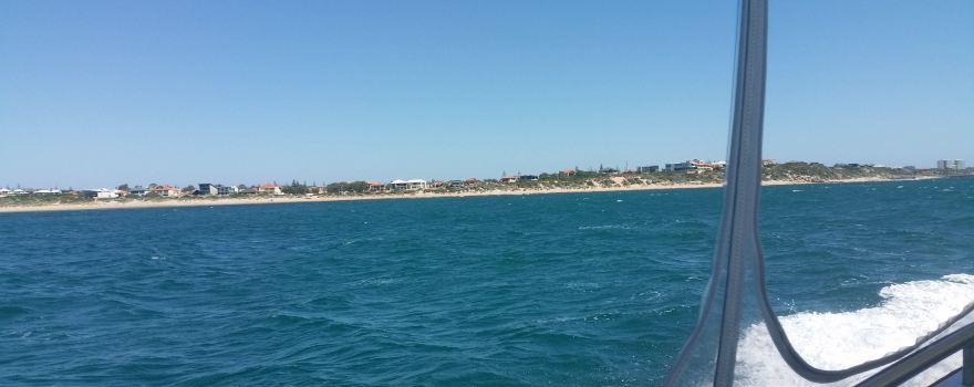 Dolphin Ferry Cruises