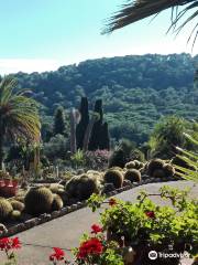 Jardí Botànic Tropical Paratge Pinya de Rosa