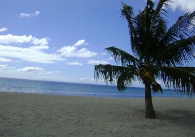 Playa Laiya