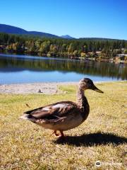 parc provincial Jimsmith Lake