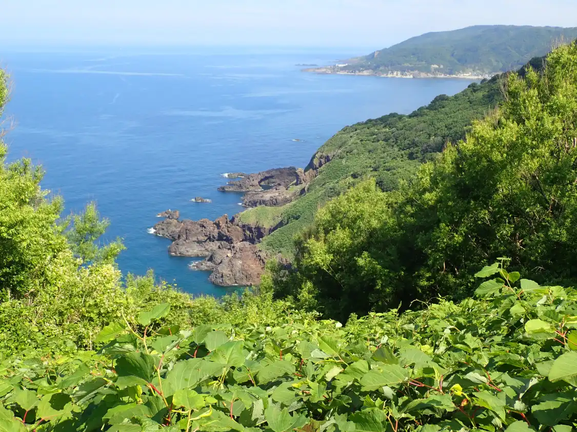 Hotel in zona Oganishi Beach