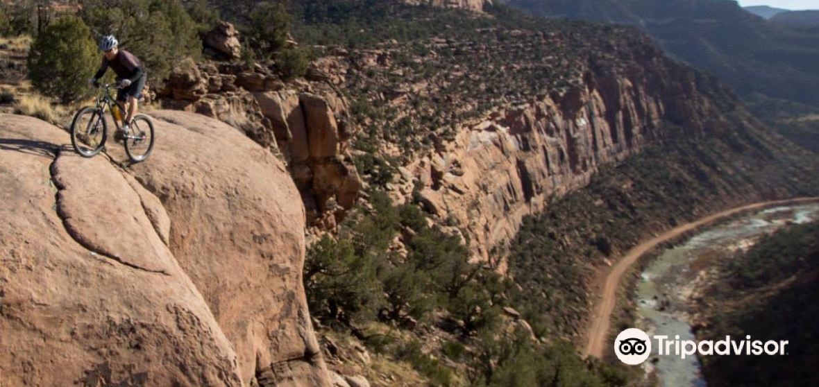 Things to Do in Norwood in 2024 Top Attractions, Local Food, Hotels