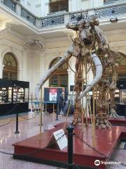 Museum of Natural History “Giacomo Doria”