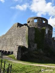 Dinefwr Castle