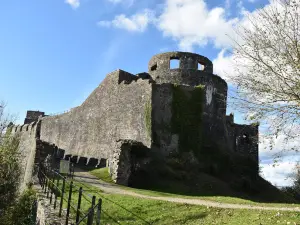 Castello di Dinefwr