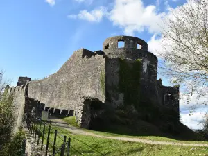 Dinefwr Castle