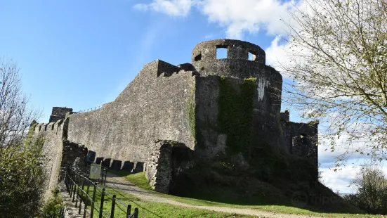 Dinefwr Castle