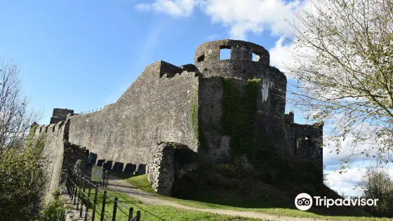 Castell Dinefwr
