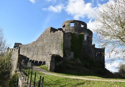 Dinefwr Castle