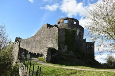 Dinefwr Castle